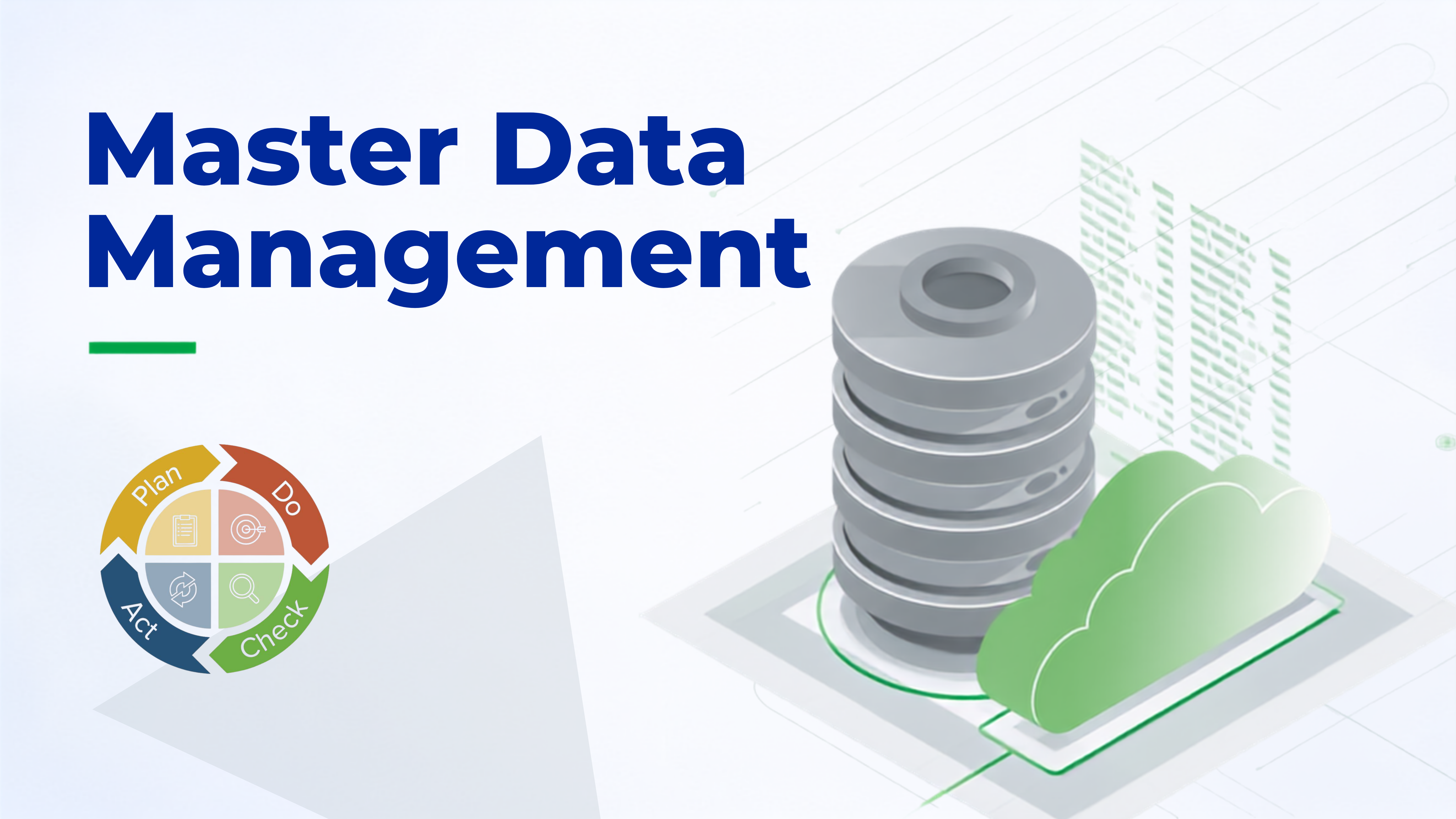 MasterDataManagement
